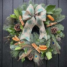 The Majestic Peacock