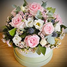 Seasonal Hatbox Peak Time